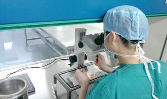 国内第三代试管婴儿生子的费用价格一览