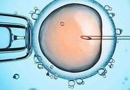 东莞有名试管婴儿医院，这些医院试管婴儿比较好？