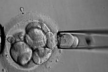 做试管生孩子为什么要促排费用多少钱？